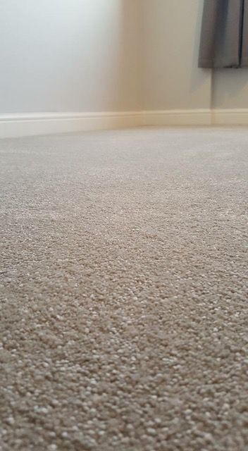 Domestic Carpet